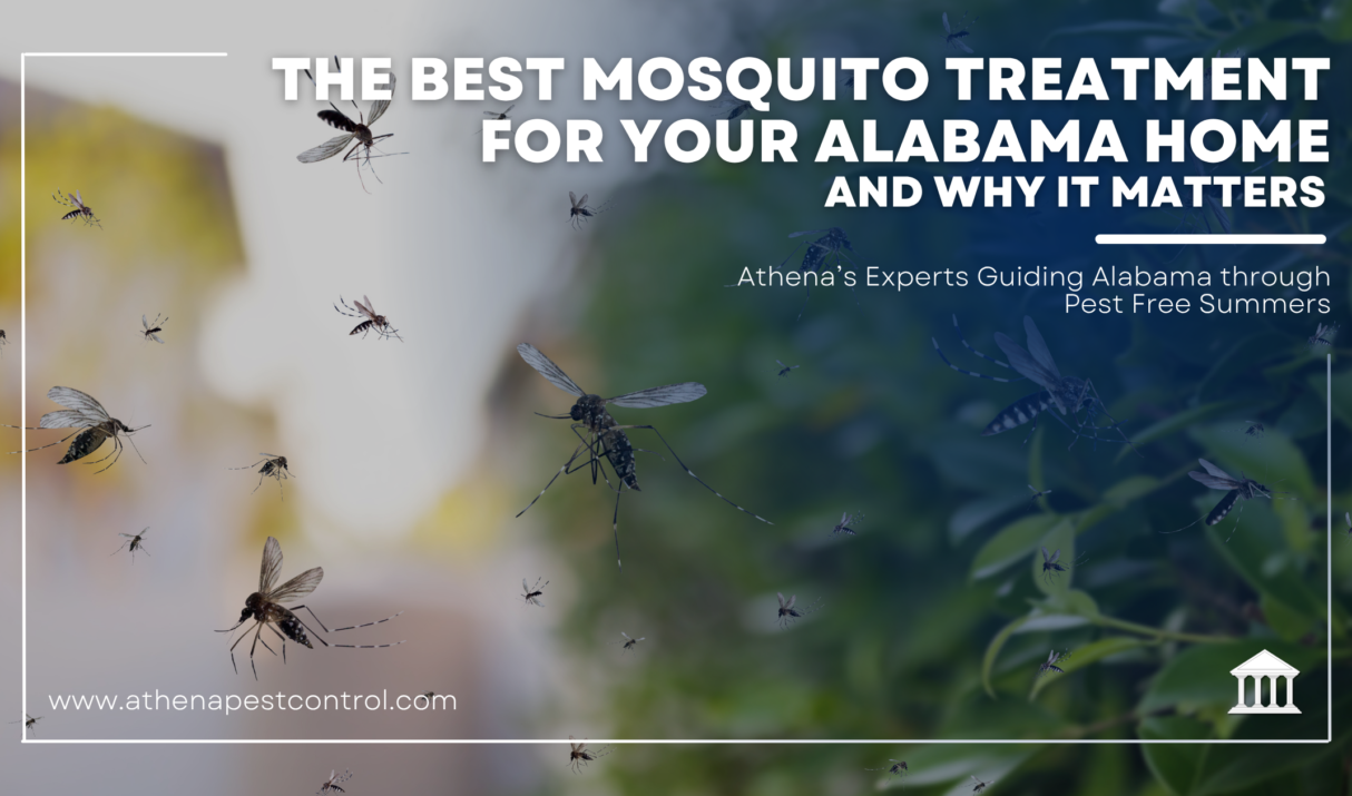 The Best Mosquito Treatment for Your Alabama Home — And Why It Matters