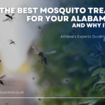 The Best Mosquito Treatment for Your Alabama Home — And Why It Matters