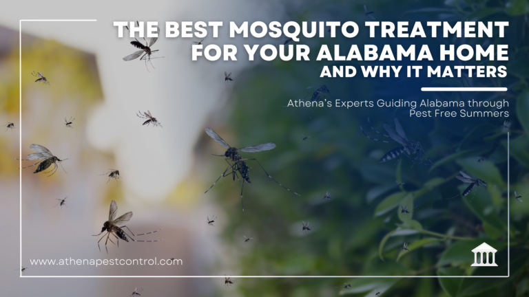 The Best Mosquito Treatment for Your Alabama Home — And Why It Matters