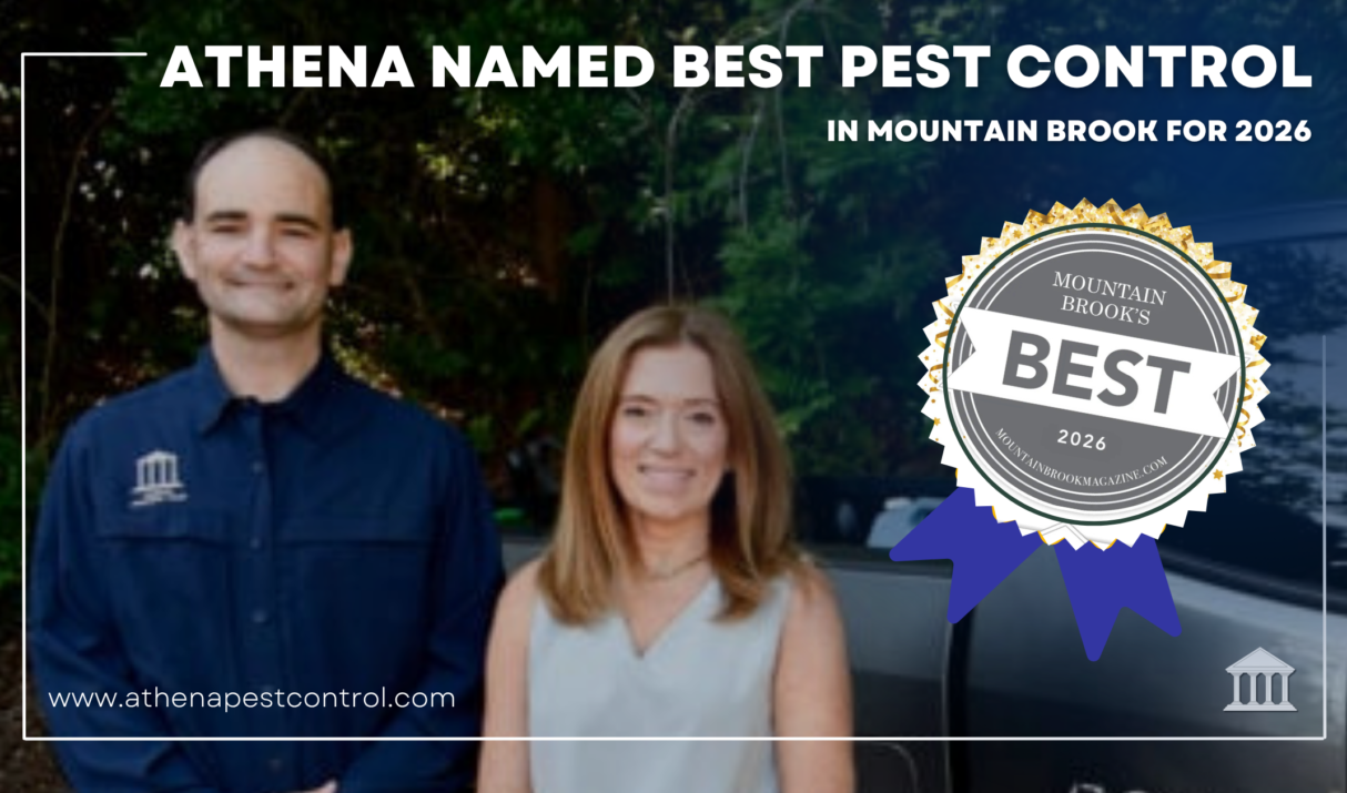 Athena Named Best Pest Control in Mountain Brook for 2026