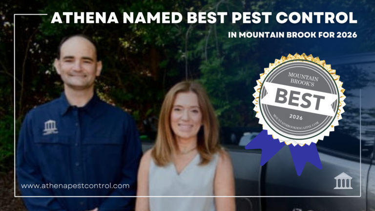 Athena Named Best Pest Control in Mountain Brook for 2026